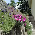 Ella アパート アルノルトシュタイン