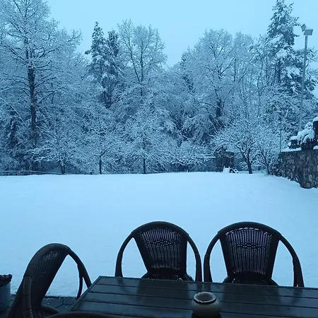 Ella Daire Arnoldstein